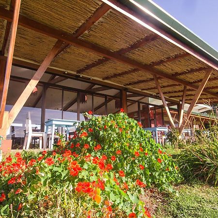 Chayote Lodge Zarcero Екстериор снимка