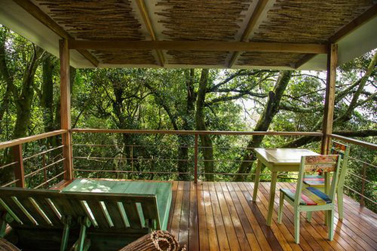 Chayote Lodge Zarcero Екстериор снимка